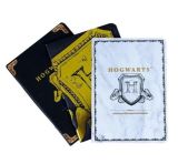 EPEE Harry Potter Sada tří sešitů A6 - Erb Bradavic