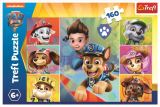 TREFL Puzzle Tlapková patrola - Setkání 160 dílků