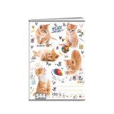 Argus Sešit A5 Cats, linkovaný 544