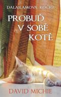 Synergie Dalajlamova kočka - Probuď v sobě kotě