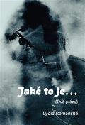 Pavel Mervart Jaké to je...