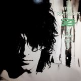 Waterboys A Pagan Place