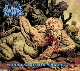 Bloodbath Survival Of The Sickest (Digipack)