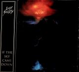 Nuclear Blast In The Sky Came Down (Limited Digipack)