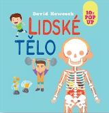 Hawcock David Lidské tělo 10x Pop Up
