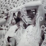 Bjrk Vespertine