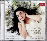 Michna Adam Vclav z Otradovic A Lily Among Thorns - esk marinsk muzika - Lilium mezi trnm