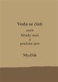 Uvnitř Voda se čistí aneb Mladý muž a pražské jaro