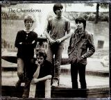 Chameleons Tony Fletcher Walked On Water