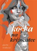 Milan Hodek Kočka na křižovatce