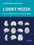 Galén Lidský mozek