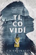 Fobos Ti, co vidí