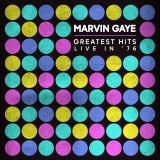 Gaye Marvin Greatest Hits Live In '76 (Live In Amsterdam 1976)