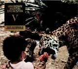 Jagjaguwar V