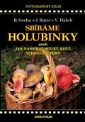 Aventinum Sbíráme holubinky