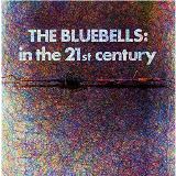 Bluebells In The 21st Century