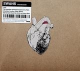 Swans Beggar