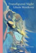 Karolinum Transfigured Night