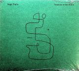 Gondwana Tremors In The Static