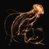 Warner Music Back To The Water Below (Indie - clear vinyl)