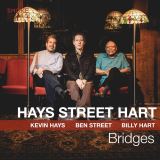 Mem Bridges