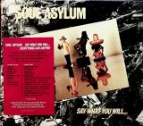 Soul Asylum Say What You Will...Everything Can Happen