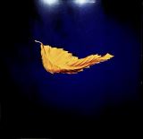 New Order True Faith