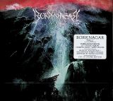 Borknagar Fall