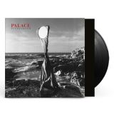 Palace Ultrasound