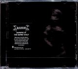 Shining Iv - The Eerie Cold