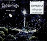 Psychotic Waltz Into The Everflow
