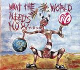 Public Image Limited What The World Needs Now...