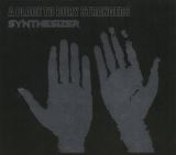 A Place To Bury Strangers Synthesizer