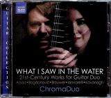Naxos Brouwer, Assad & Kavanagh: What I Saw In The Water
