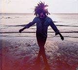 Lenny Kravitz Raise Vibration