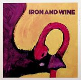 Iron & Wine Boy With A Coin