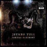 Jethro Tull Curious Ruminant