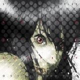 Victor Entertainment Ghost In The Shell - Stand Alone Complex Solid
