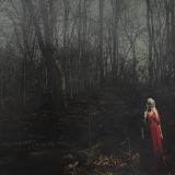 Silence From A Distance Ltd.
