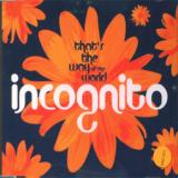 Incognito That's The Way Of The World
