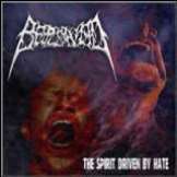 Bereaved Spirit Driven By Hate