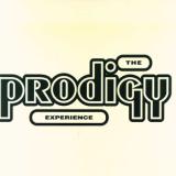 Prodigy Experience