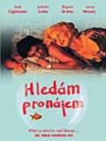 Hollywood C.E. Hledám pronájem (Room to rent)
