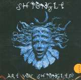 Shpongle Are You Shpongled?