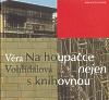 Nakladatelství Bor Na houpačce nejen s knihovnou