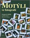 Sursum Motýli ve fotografii