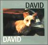 KANT David