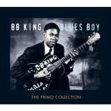 King B.B. Blues Boy