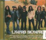 Lynyrd Skynyrd Icon