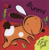 3C Publishing Bunny - Pop Up Book